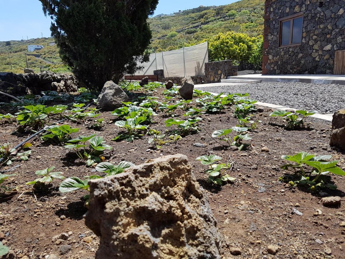 Finca La Sabina Guarazoca エクステリア 写真