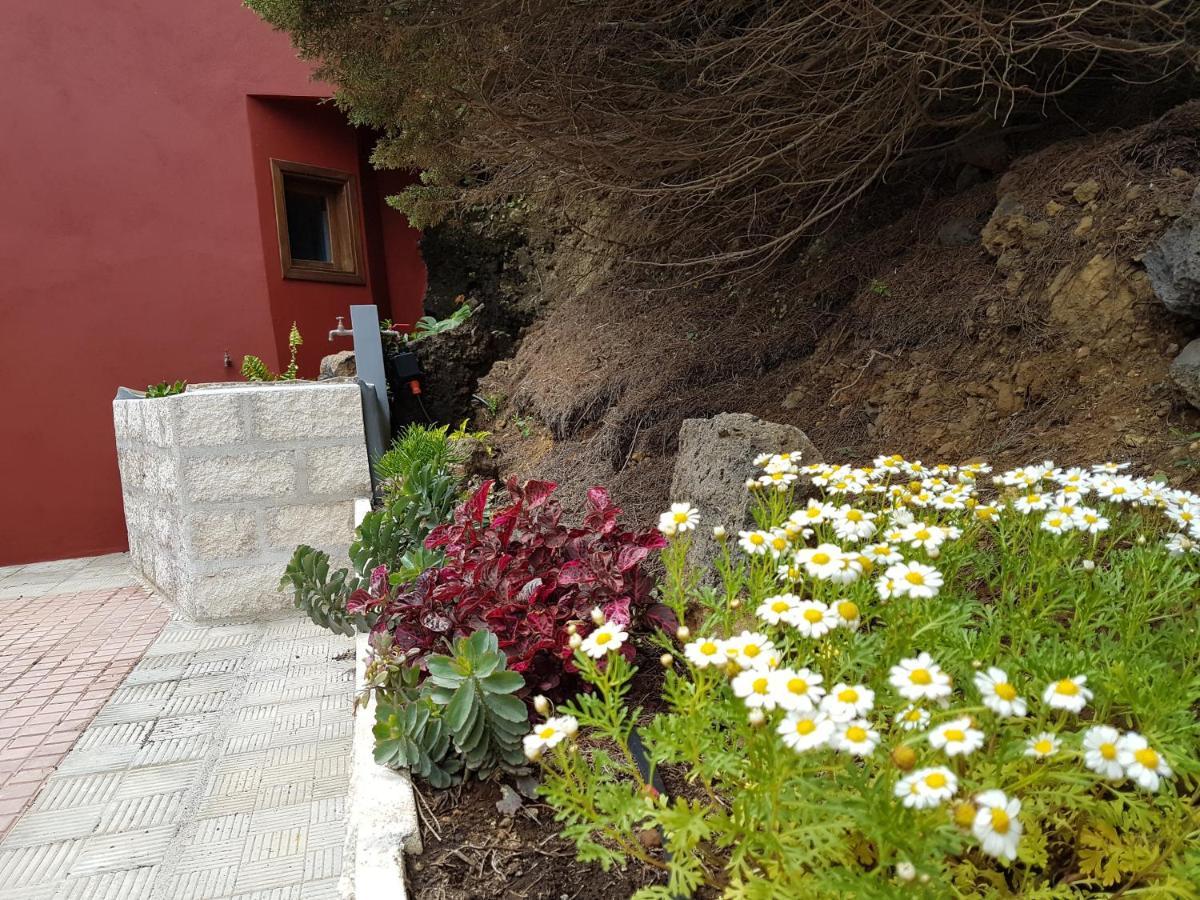 Finca La Sabina Guarazoca エクステリア 写真