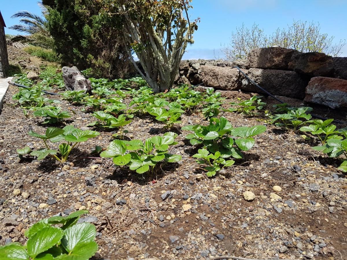 Finca La Sabina Guarazoca エクステリア 写真