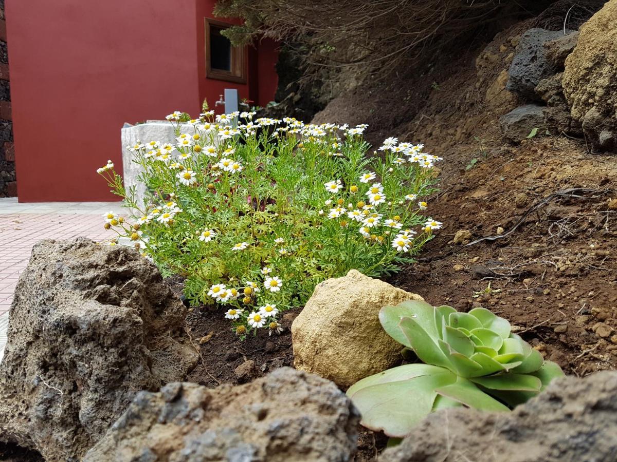 Finca La Sabina Guarazoca エクステリア 写真